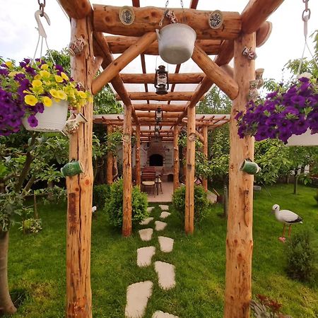 Casa Aryan Sînpetru Exterior foto