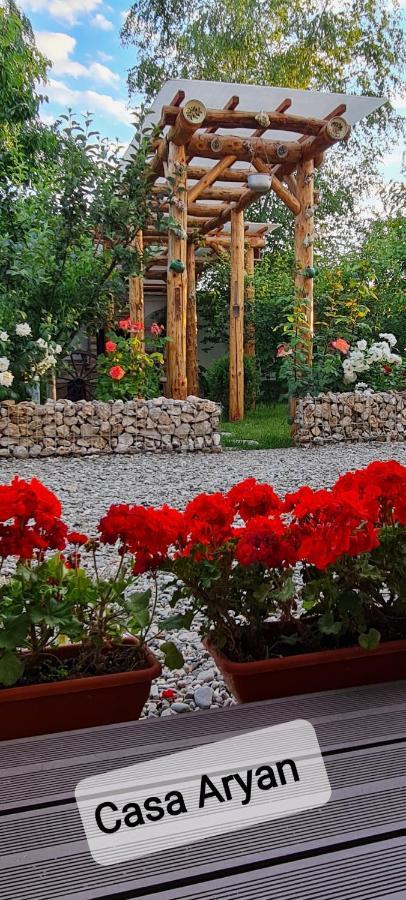 Casa Aryan Sînpetru Exterior foto