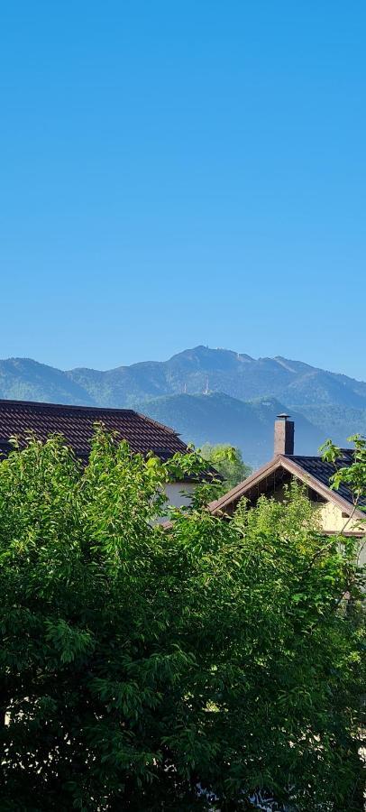 Casa Aryan Sînpetru Exterior foto