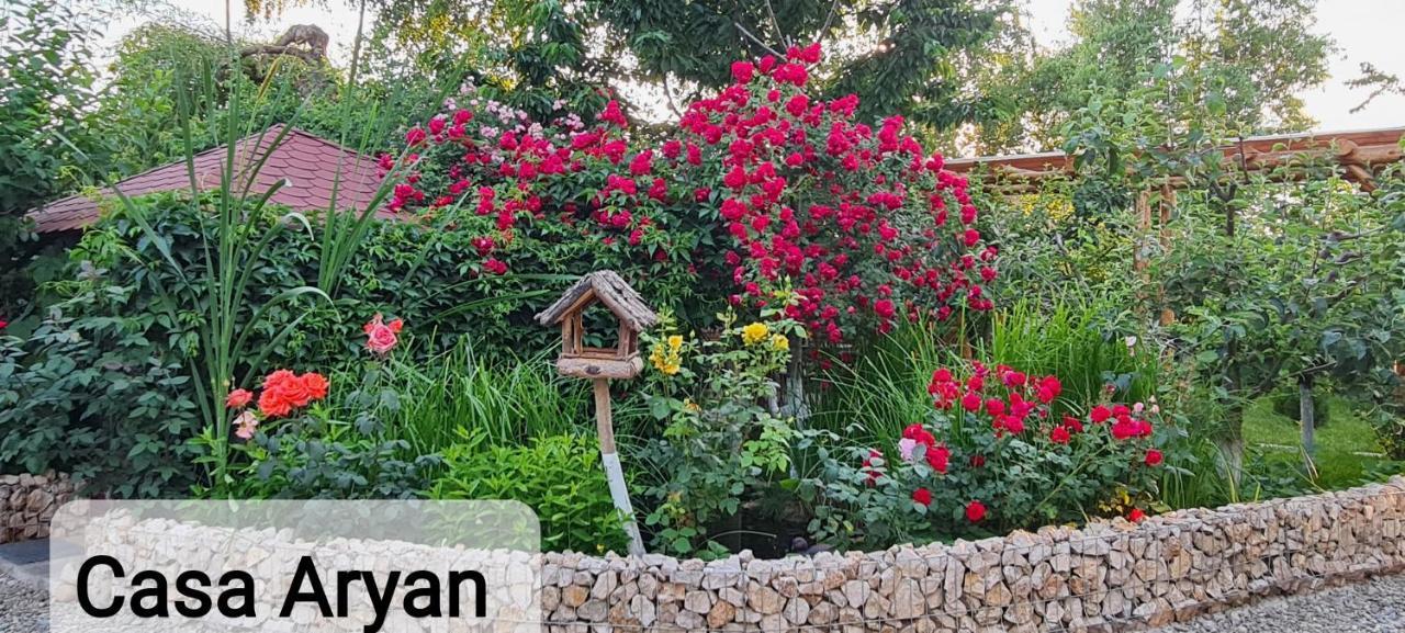 Casa Aryan Sînpetru Exterior foto
