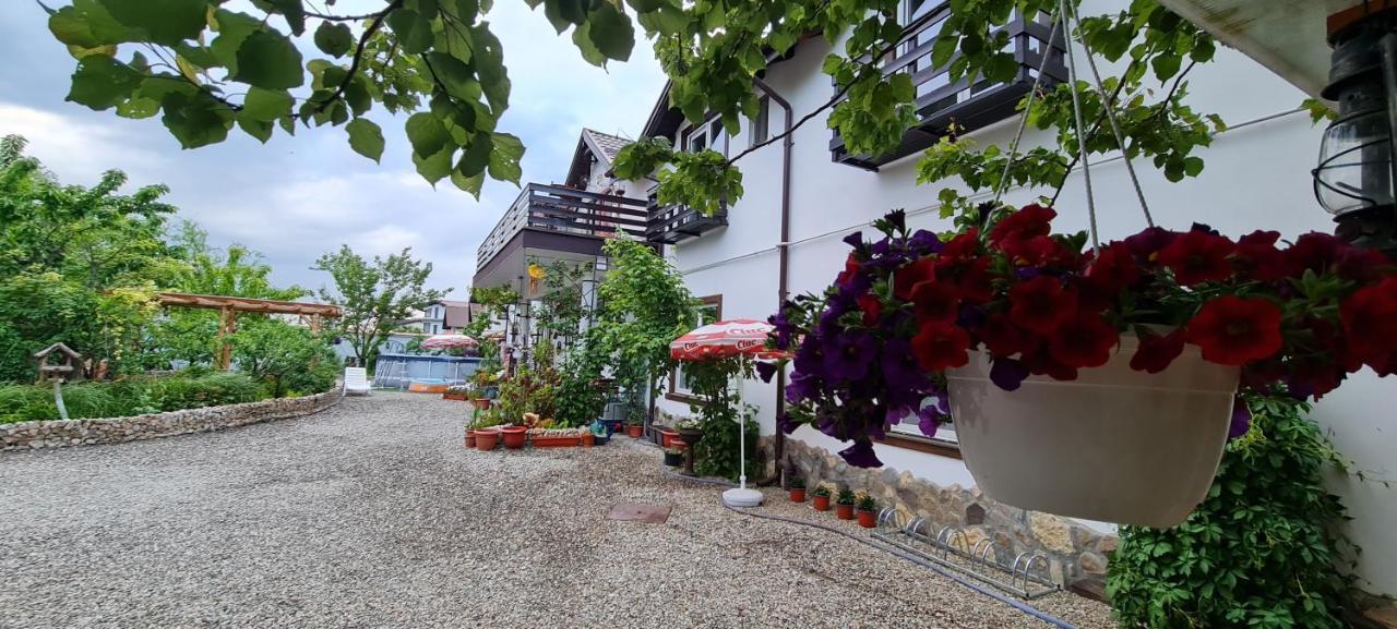 Casa Aryan Sînpetru Exterior foto