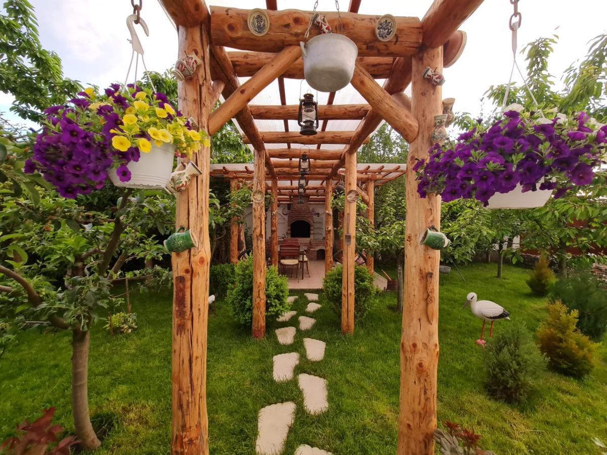 Casa Aryan Sînpetru Exterior foto