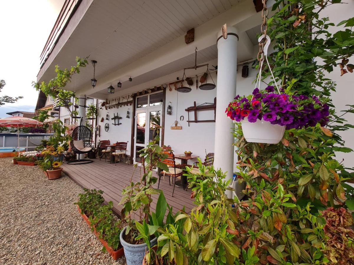 Casa Aryan Sînpetru Exterior foto