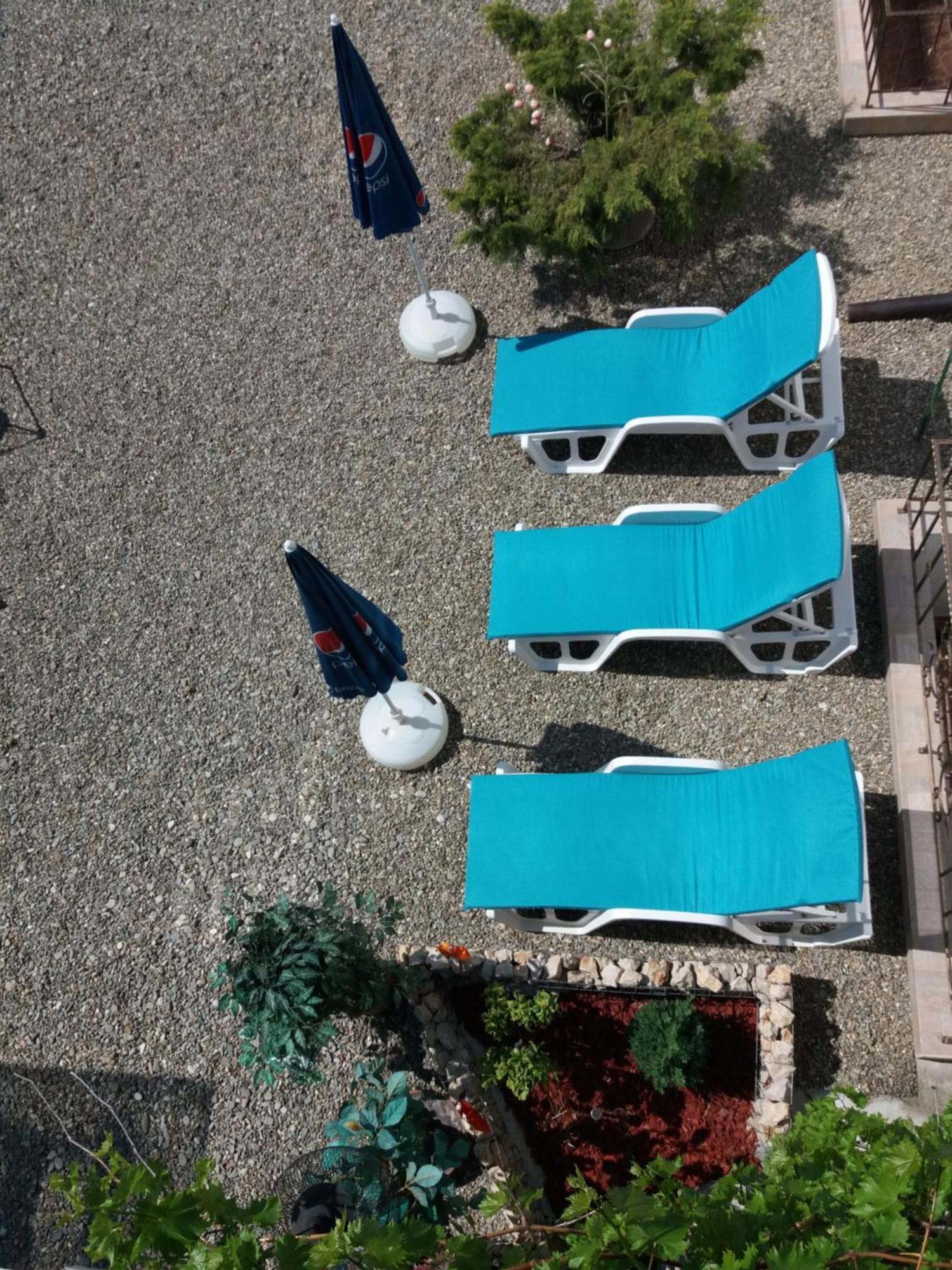 Casa Aryan Sînpetru Exterior foto